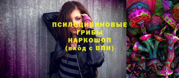 амф Абинск