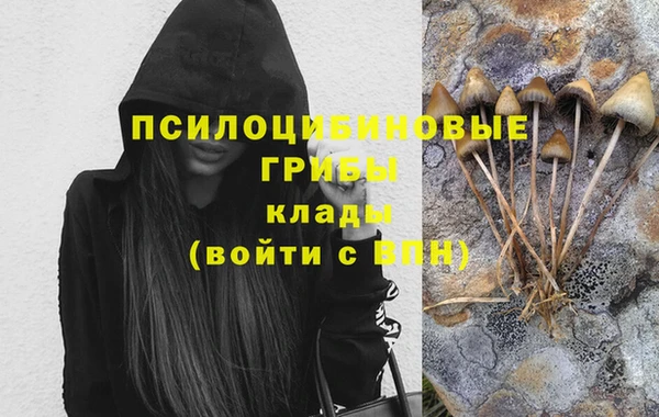 дурь Абдулино