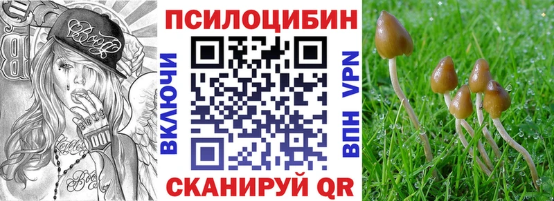 Галлюциногенные грибы Magic Shrooms  Серпухов 
